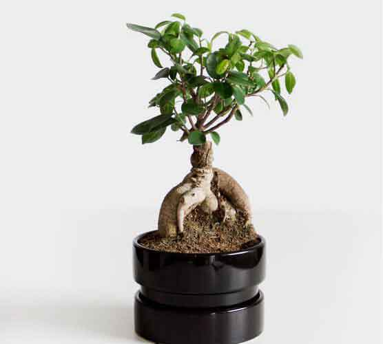 不限时间使用的DDOS攻击