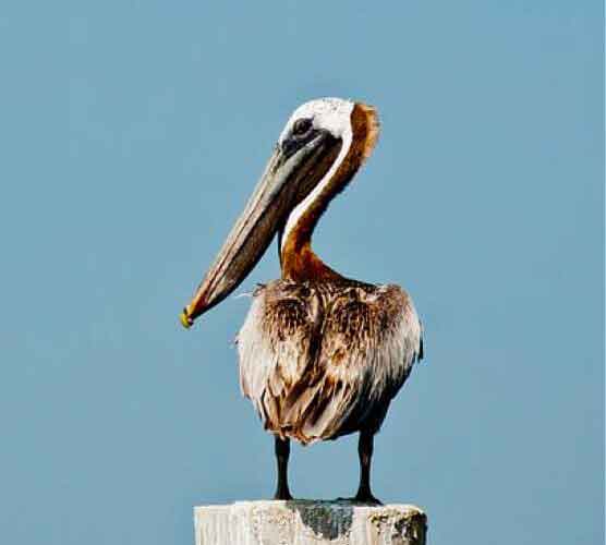 让经营更稳健的ddos压力测试平台